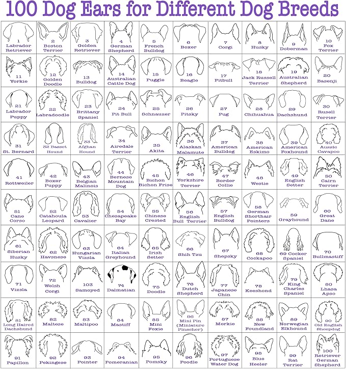 Custom Dog Mom Shirt for Women Pet Ears Sweatshirt - Image 4