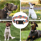 Dog Collar, Cute Cartoon Fruit Boys Girls Puppy Collar - Image 6
