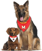 Pets First Collegiate Pet Accessories, Reversible Bandana, Maryland Terrapins - Image 5