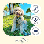 Lucy & Co. Looking Sharp, Cute Reversible Dog Harness Walking Halter - Image 4
