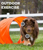Outward Hound Zip & Zoom Outdoor Dog Agility Training Kit - Image 4