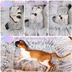 XxingSheep 4 Cave Shuttled XL Cat Tunnel Bed - Image 5