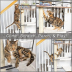 PetFusion VersiCLimb Cat Climber | Multi-Purpose Pet Furniture w/Tall - Image 2