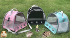 Guinea Pig Carrier, Small Animal Bird Rabbit Turtle Carrier Bag, African - Image 5