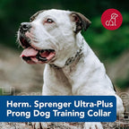 Herm SPRENGER Ultra-Plus Prong Dog Training Collar, 3.0 mm x 18" Neck Size - Image 2