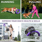 COLLAR Puller Outdoor Ring Toy - Image 4