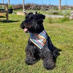 Birthday Dog Bandanas Medium Large, Colorful Sprinkle Stripes, Reversible Soft - Image 3