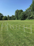 Dog Agility Training Equipment Course Set, Weave Poles, Dog Agility Jump by The+Dog+Agility+Shop%C2%AE