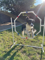 Dog Agility Training Equipment Course Set, Weave Poles, Dog Agility Jump - Image 4