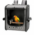 Foldable Bird Carrier Bag, Bird Backpack by Unknown