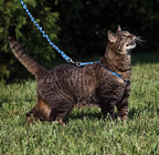 PetSafe Come with Me Kitty Cat Harness & Bungee Leash - Image 2