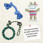 rocket & rex Dog Chew Toy Set for Small to Medium Breeds, Includes All Natural - Image 7