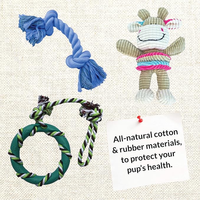 rocket & rex Dog Chew Toy Set for Small to Medium Breeds, Includes All Natural - Image 7