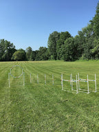 Dog Agility Equipment Deluxe Beginner Set, 3 Bar Jumps, 6 Weave Poles, 1 by The+Dog+Agility+Shop%C2%AE