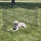 New World Folding Metal Dog Exercise Pen, Indoor/Outdoor Playpen - Image 2