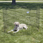 MidWest Homes for Pets Folding Metal Dog Exercise Pen, Indoor/Outdoor Playpen - Image 2