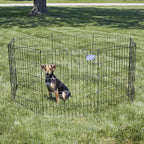 MidWest Homes for Pets Folding Metal Puppy / Dog Exercise Pen, Indoor/Outdoor - Image 2
