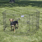 MidWest Homes for Pets Folding Metal Dog Exercise Pen, Indoor/Outdoor Playpen - Image 2