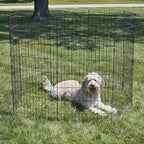 MidWest Homes for Pets Folding Metal Dog Exercise Pen, Indoor/Outdoor Playpen - Image 2