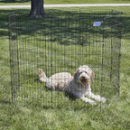 MidWest Homes for Pets Folding Metal Dog Exercise Pen, Indoor/Outdoor Playpen - Image 2