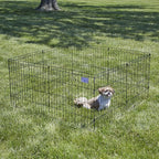 MidWest Homes for Pets Folding Metal Puppy / Dog Exercise Pen, Indoor/Outdoor - Image 2
